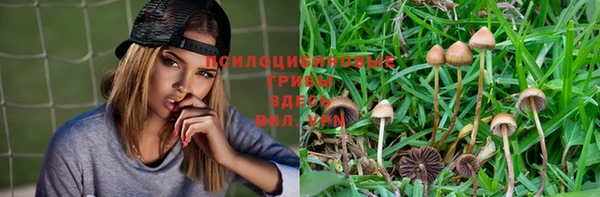apvp Наволоки